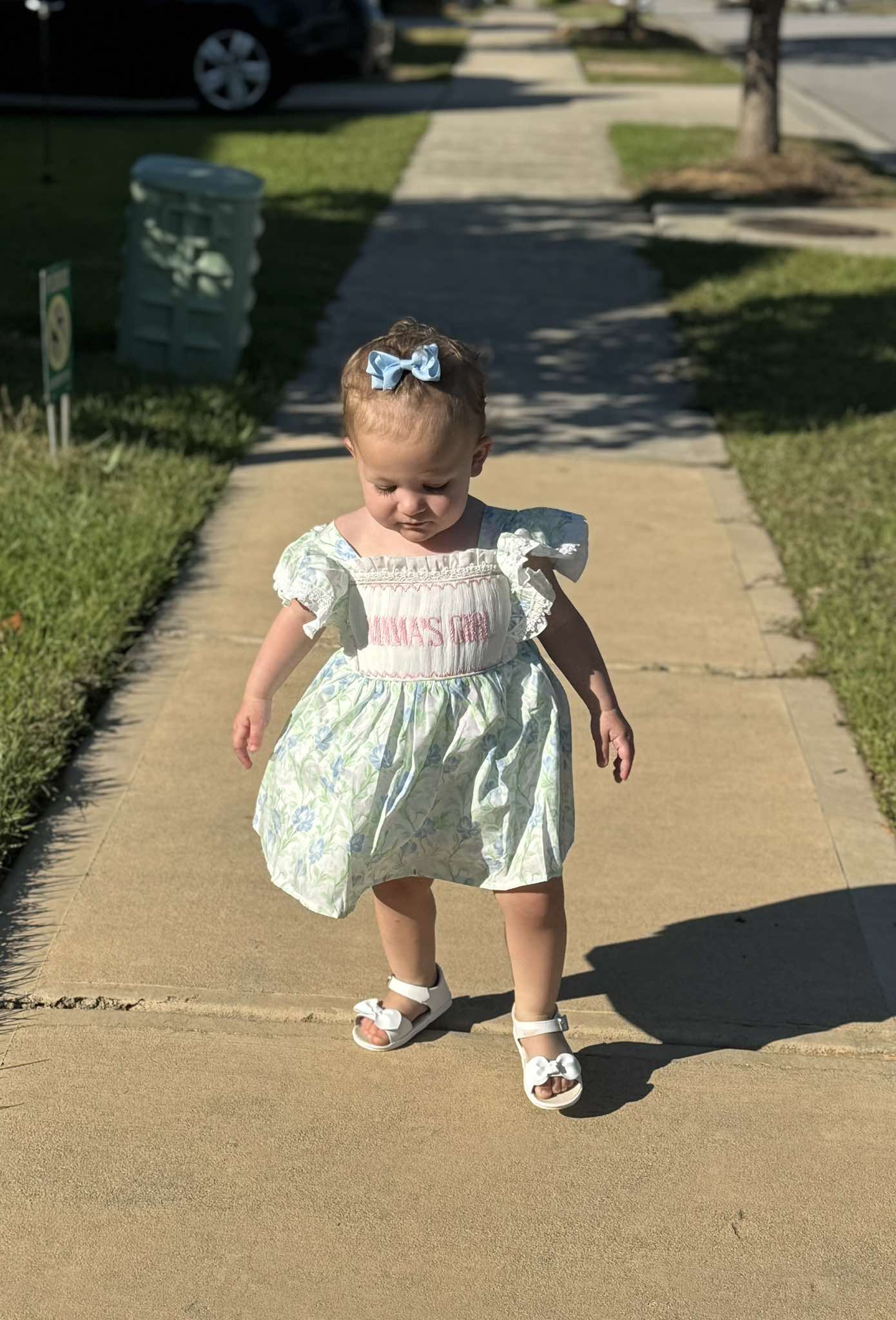 In Bloom Collection Flutter Sleeve Diaper Set