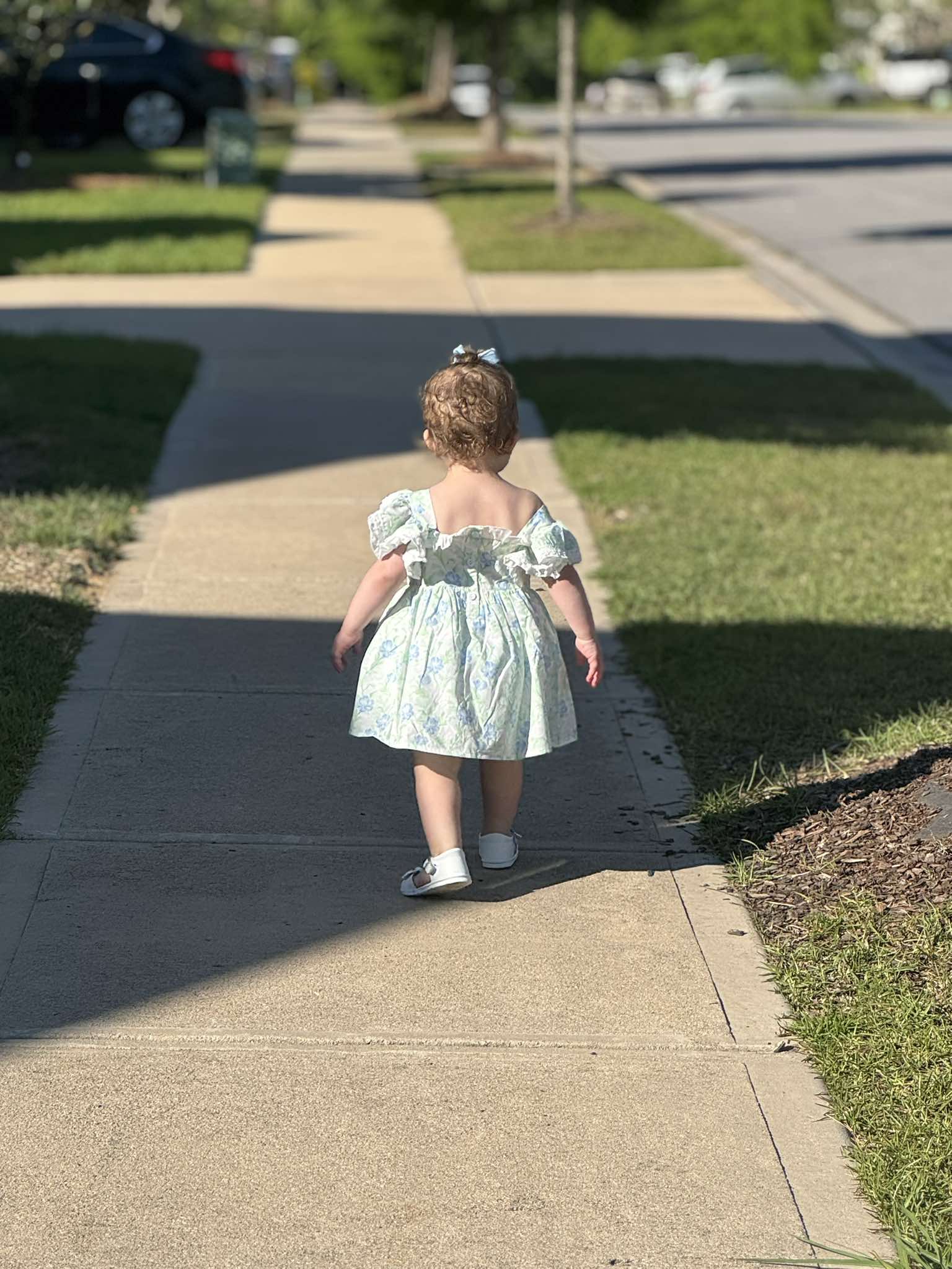 In Bloom Collection Flutter Sleeve Diaper Set