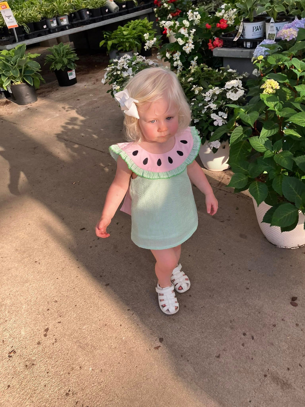 Down by the Bay Dress