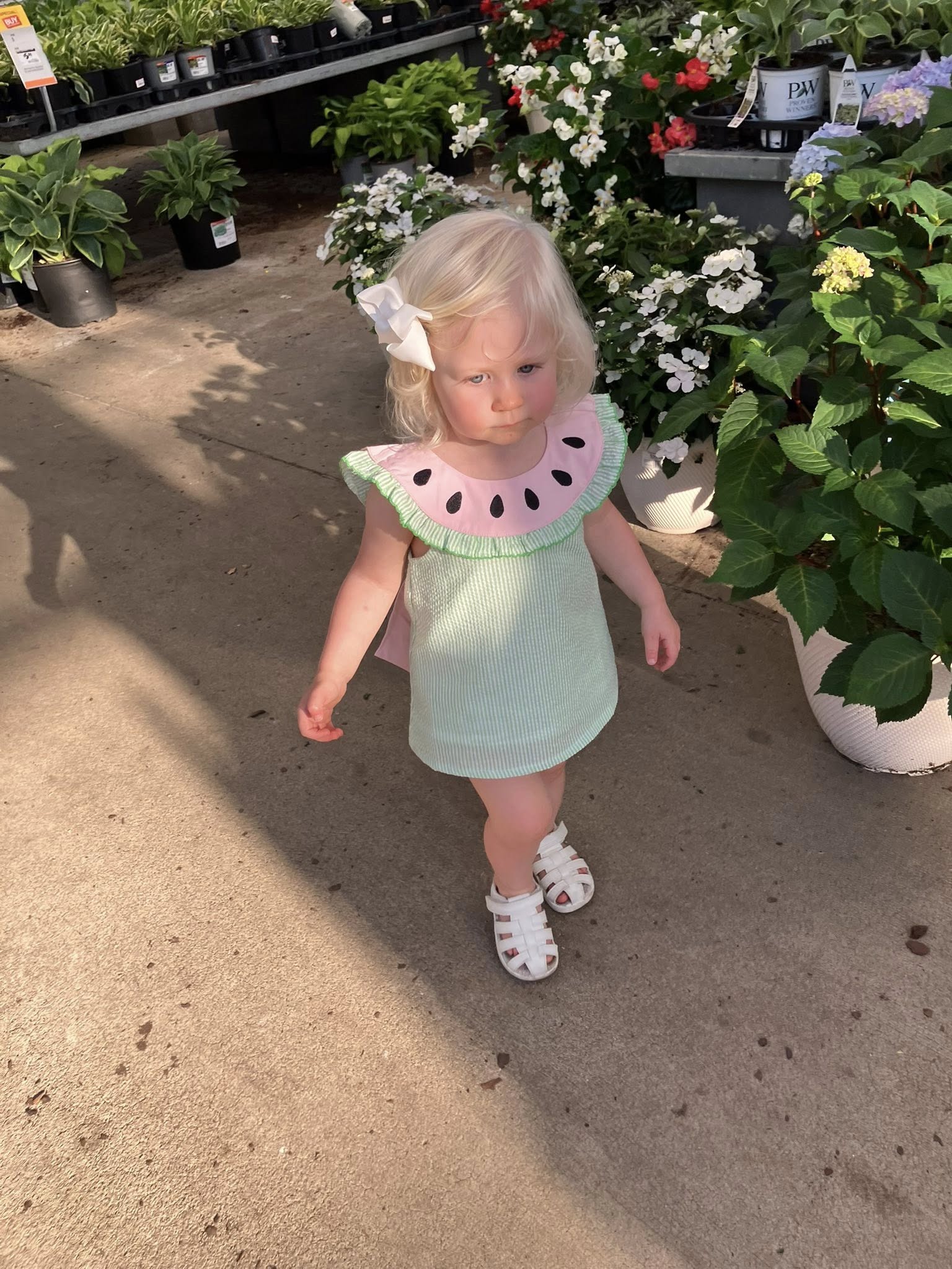 Down by the Bay Dress