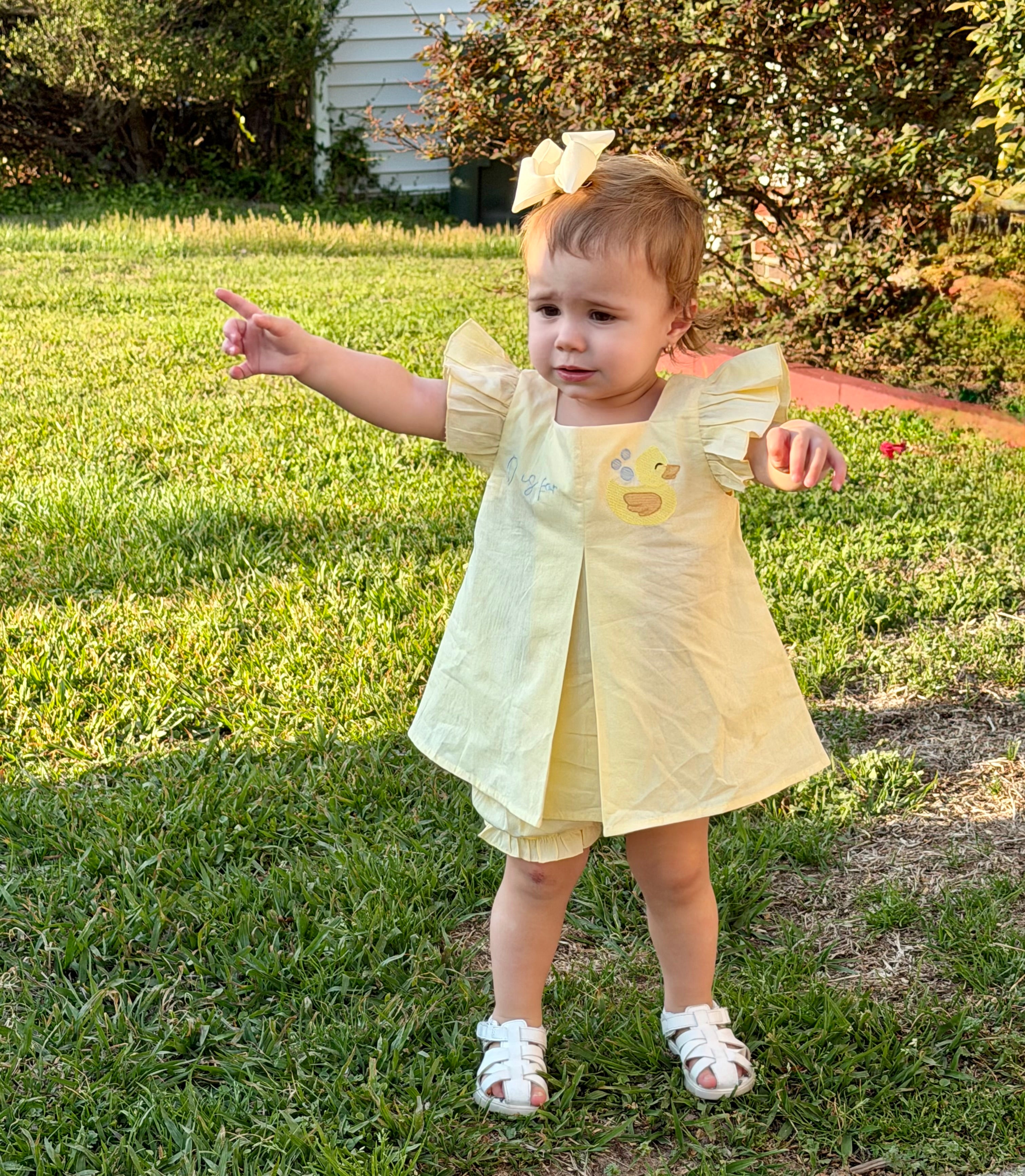 D is for Duck Dress with Bloomers