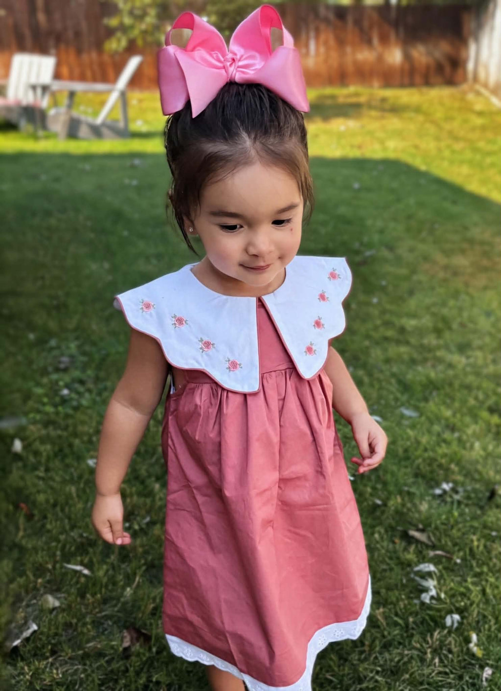 Blushing Rose Dress
